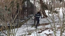 Bărbatul care a fost atacat de tigru la ZOO se află în stare foarte gravă